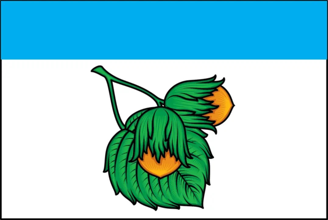 флаг