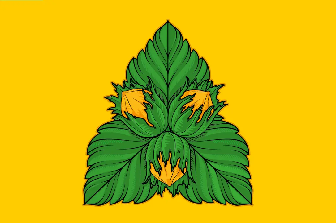флаг